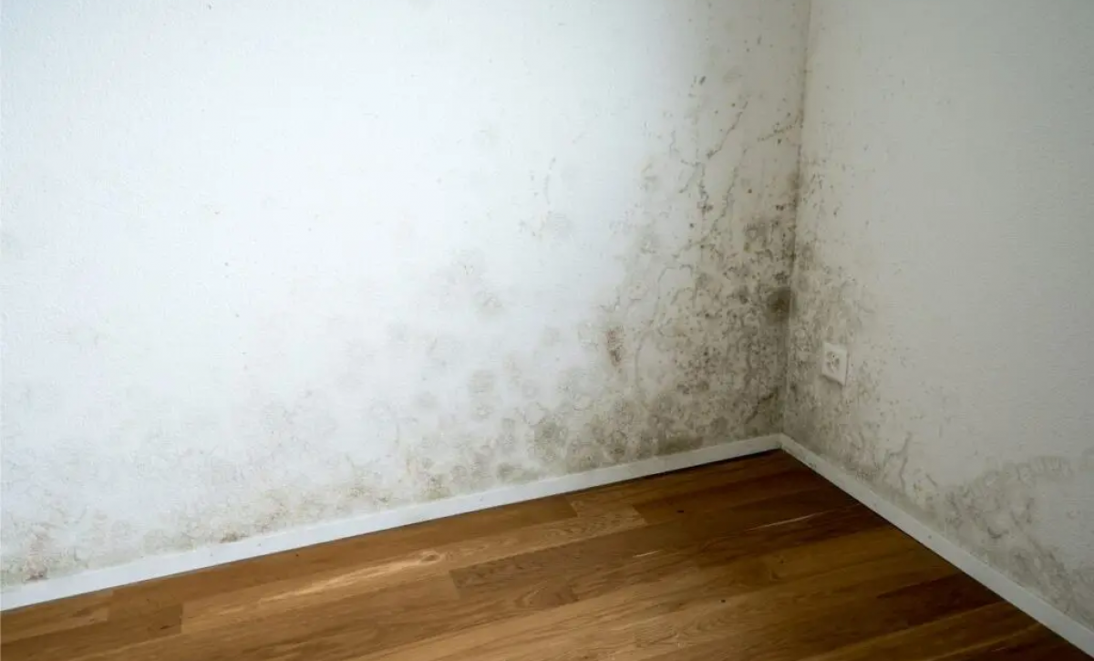 Descubre qué esconde la humedad en tu casa y cómo solucionarlo a tiempo