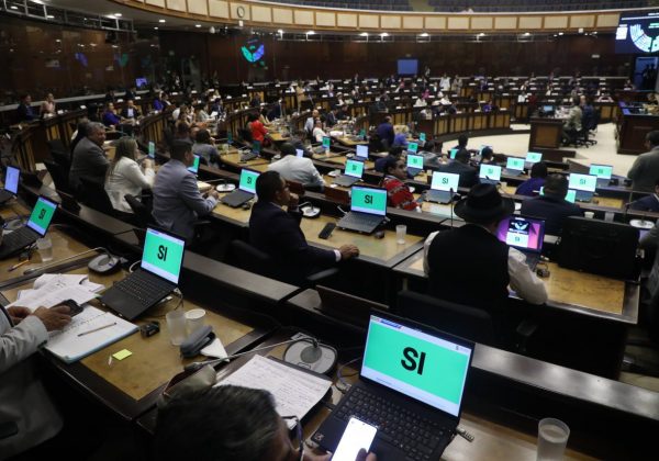 La moción para aprobar la terna fue presentada por el asambleísta Pablo Jurado, de Acción Democrática Nacional (ADN). FOTO: @AsambleaEcuador.