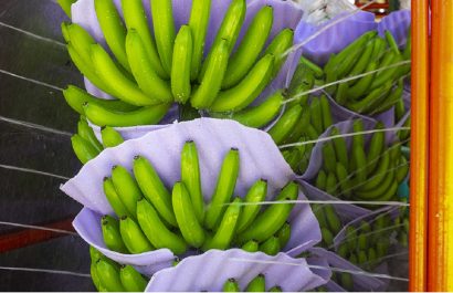 La salida de Exportadora Bananera Noboa S.A. del primer puesto en el ranking de deudores marca un cambio significativo, dado que hace cuatro meses lideraba la lista. FOTO: noboa.global.