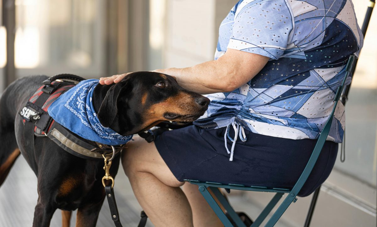 la-terapia-asistida-con-perros-brinda-salud-fisica-y-emocional-1-1