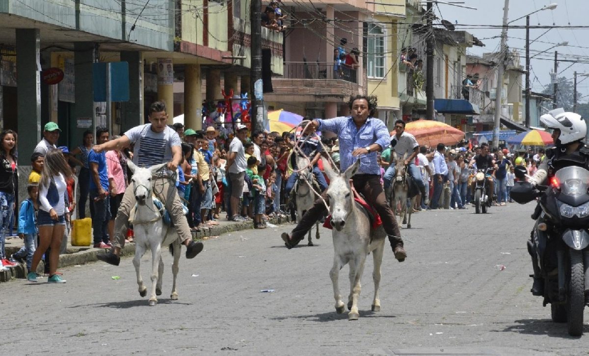 la-tradicional-carrera-de-burros-que-se-desarrolla-en-santo-domingo-de-los-tsachilas-presenta-varios-cambios-este-ano