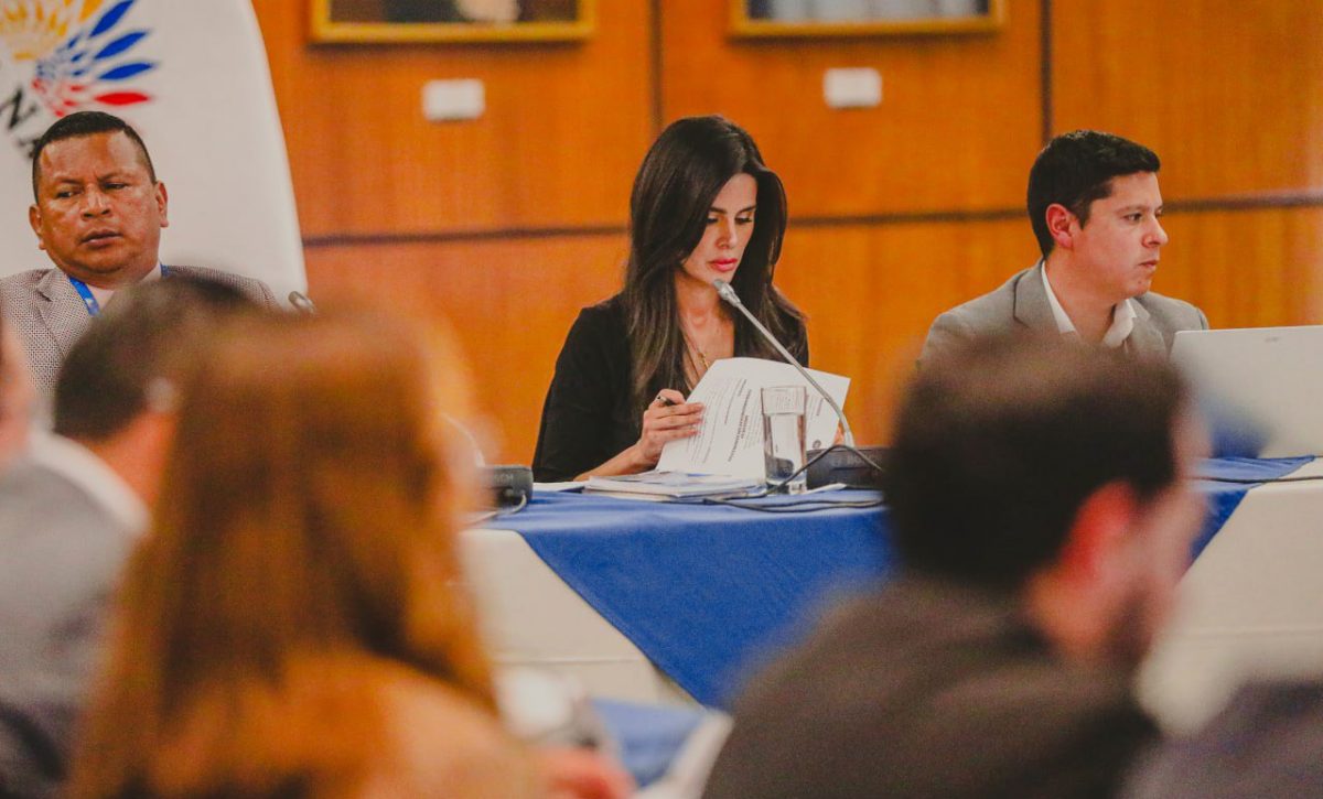 Comisión de Transparencia, encabezada por Diana Jácome (c) exigió explicaciones por proyecto de edad de consentimiento. FOTO: @AsambleaEcuador