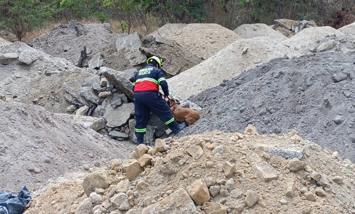 En Manta, la Brigada Canina del Cuerpo de Bomberos demuestra su destreza en simulacros de rescate bajo escombros.