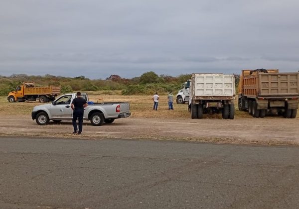 Para mitigar la presencia de aves en el Aeropuerto Internacional Eloy Alfaro de Manta,  el MTOP, Municipio de Manta y la DGAC se unieron para continuar los trabajos de limpieza de maleza.