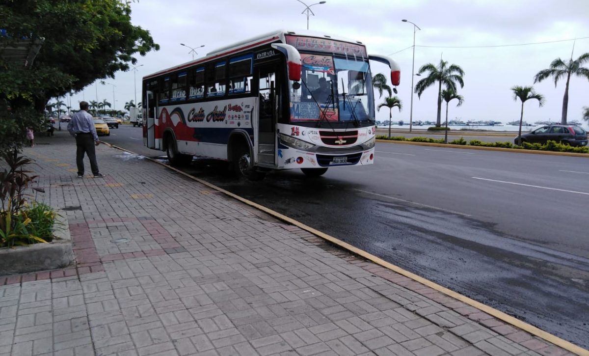 local-1-principal-1