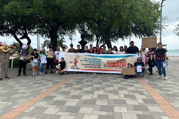 Miembros del colectivo LOA de Manta luchan por la protección y derechos de los animales.