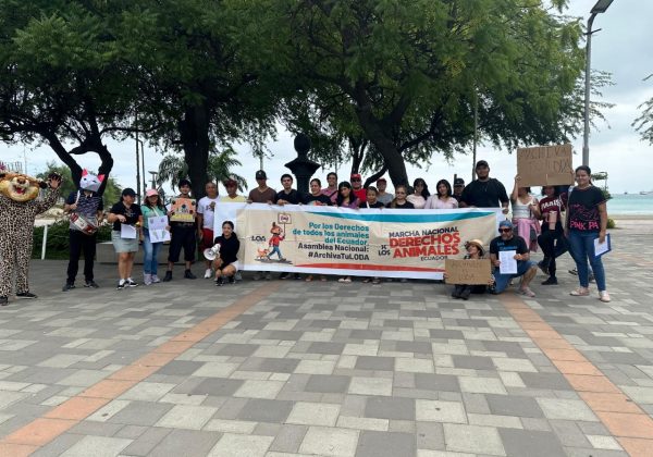 Miembros del colectivo LOA de Manta luchan por la protección y derechos de los animales.