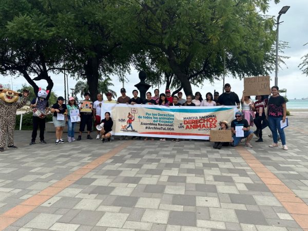 Miembros del colectivo LOA de Manta luchan por la protección y derechos de los animales.