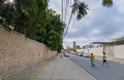 Vecinos exigen poda urgente de árboles ante riesgos eléctricos en el barrio 8 de Abril.