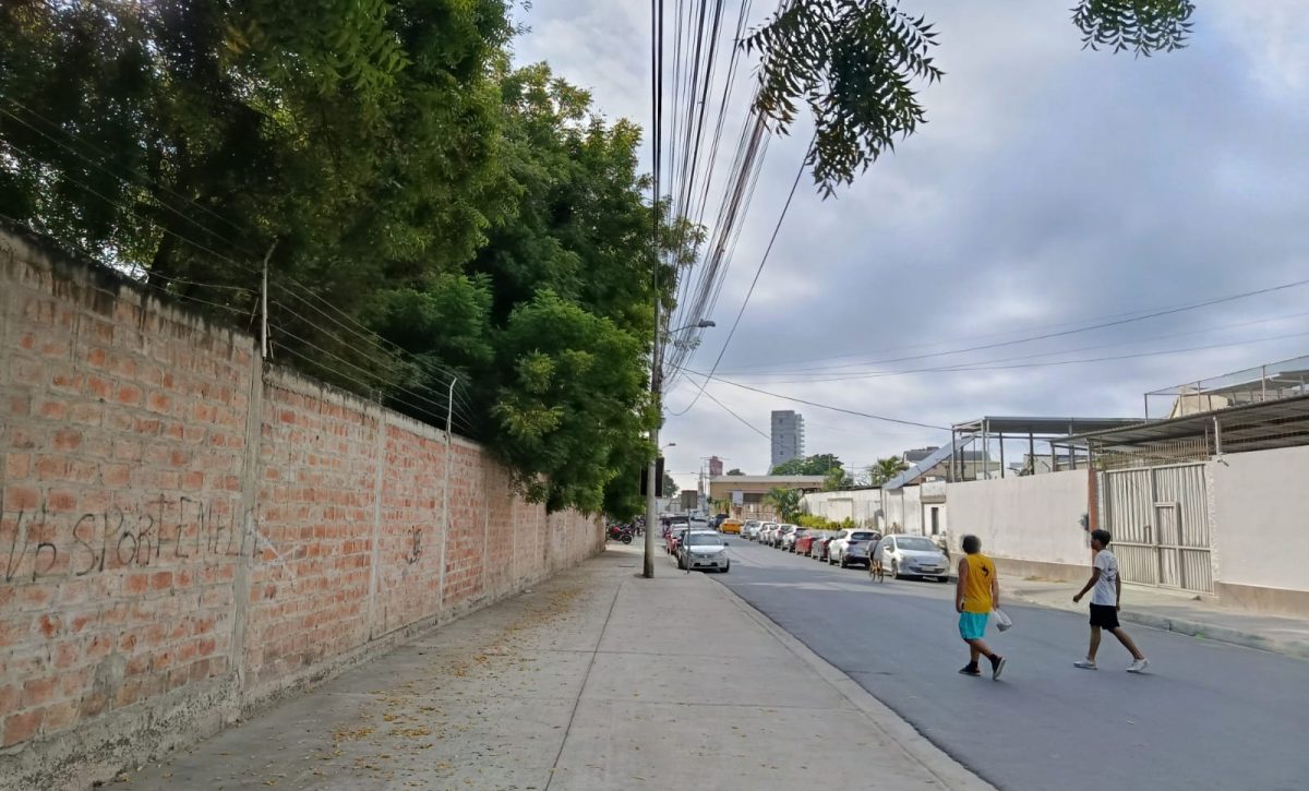 Vecinos exigen poda urgente de árboles ante riesgos eléctricos en el barrio 8 de Abril.