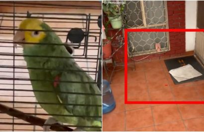 loro
