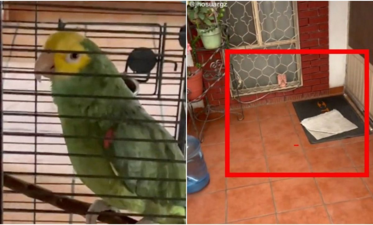 loro
