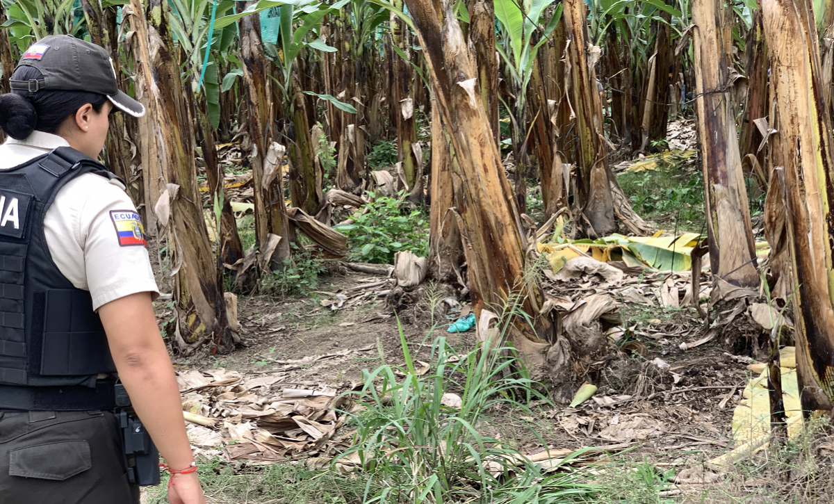 Identifican cuerpo de Dayana Torres Arboleda tras hallazgo en una finca en la vía Pajonal