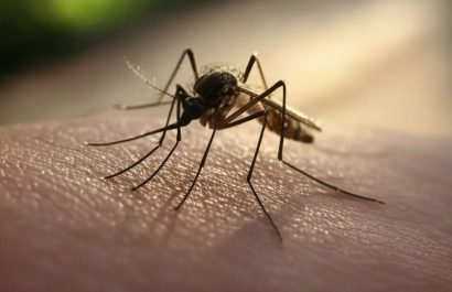 manabi-es-la-segunda-provincia-en-la-region-costa-de-ecuador-con-mas-casos-de-dengue-segun-el-ministerio-de-salud-publica-msp