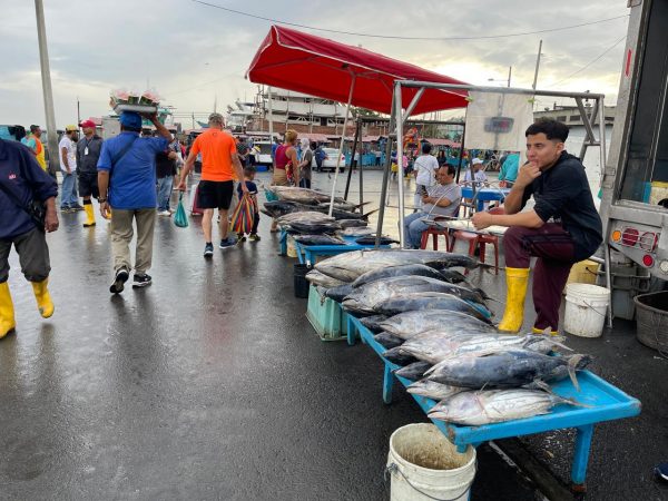 mercado-mayorista