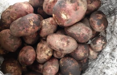 Productos esenciales como papa, tomate y verde son cada vez más costosos.