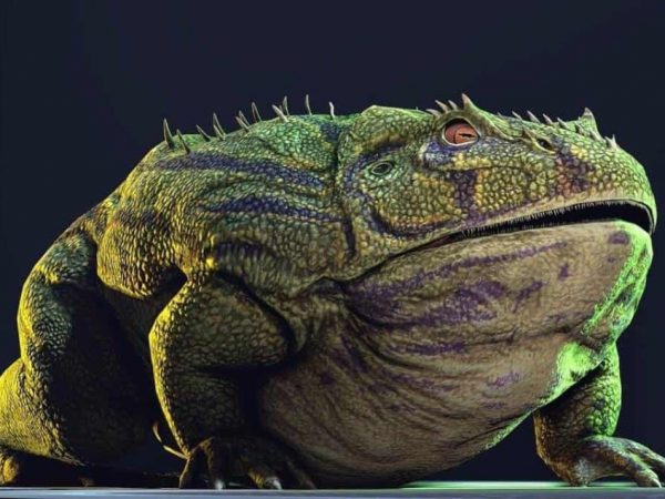 rana-prehistorica-ilustrativa-focus-0-0-954-636