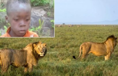 tinotenda-pudu-un-nino-de-siete-anos-permanecio-cinco-dias-perdido-en-un-parque-nacional-donde-habitan-decenas-de-leones