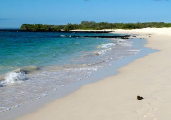 INOCAR emite advertencia de tsunami para Galápagos por fuerte sismo en el Pacífico Norte