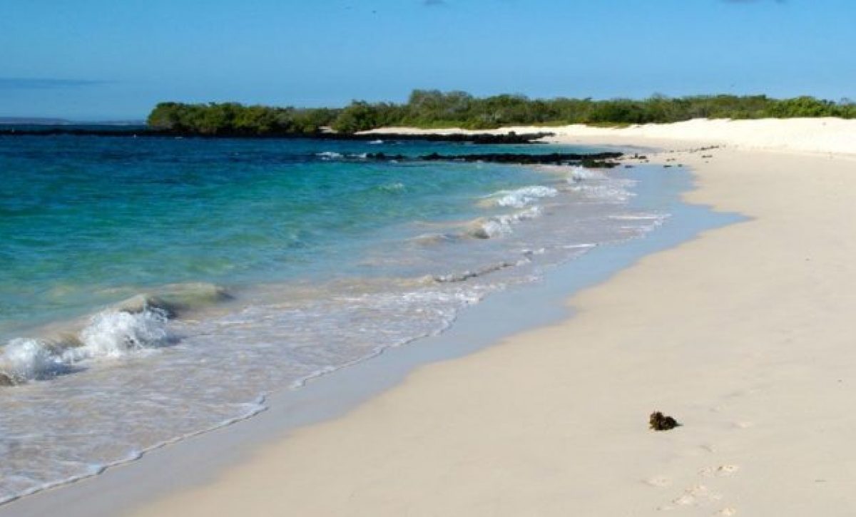 INOCAR emite advertencia de tsunami para Galápagos por fuerte sismo en el Pacífico Norte