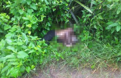un-cadaver-en-avanzado-estado-de-descomposicion-se-descubrio-en-un-sector-rural-de-montecristi-en-la-provincia-de-manabi