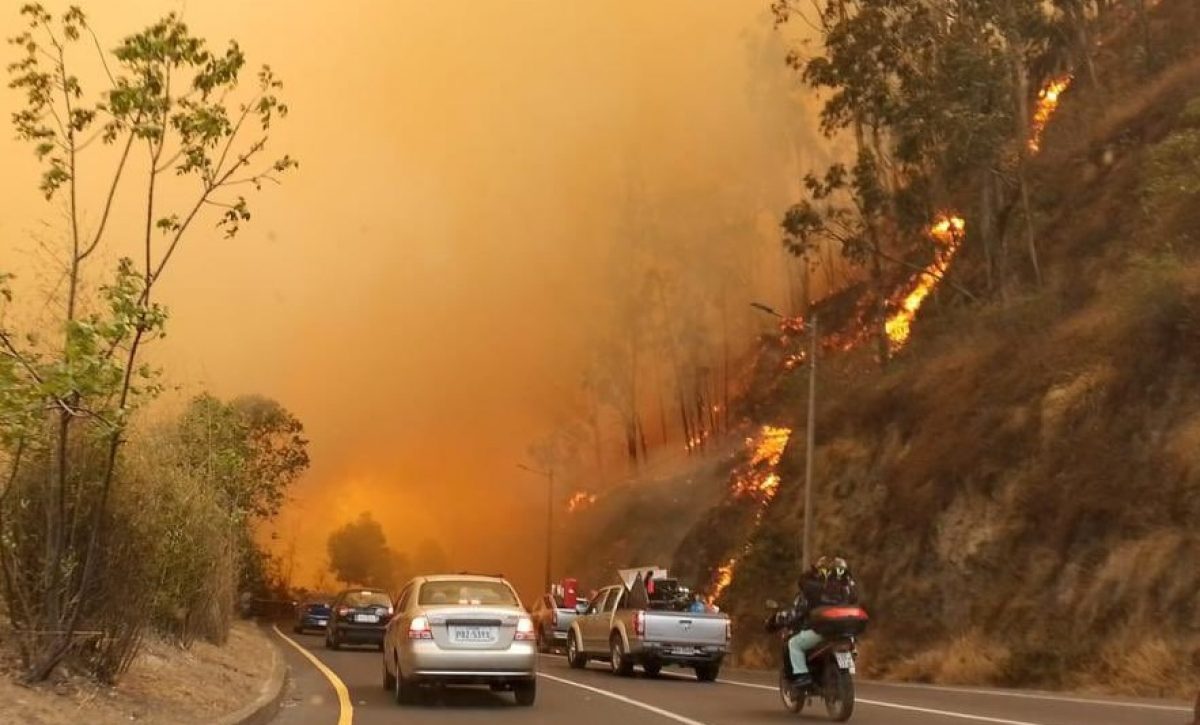 un-fuerte-y-graan-incendio-forestal-se-prendio-y-activo-a-las-autoridades-la-tarde-de-este-martes-24-de-septiembre-del-2024-en-quito