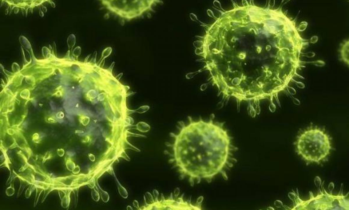 virus_1-247784_20210915123947