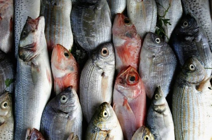 El aumento del 25 en el precio del pescado preocupa a la FAO La Marea