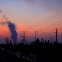 5 de Junio, el símbolo ecologista que este año trabaja en la restauración de ecosistemas