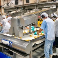 Ley de Oportunidades propone que el empleado indemnice al empleador tras despido por ‘causa justa’