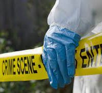 asesinato suicidio pareja