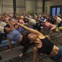 Sadhana Yoga Conference 2023 dejó una propuesta de paz