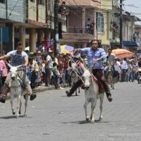 La carrera de burros entregará 500 dólares al más veloz, en Santo Domingo