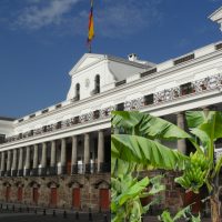 Contenido Comercial. Resultados de la “bananocracia”. ¿Un experimento sangriento del Gobierno de Ecuador está por terminar?