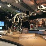 exposición en Miami muestra todo de los "exóticos" dinosaurios del sur