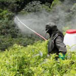 Glifosato un integrante de la Policía de Colombia mientras fumiga un cultivo de coca