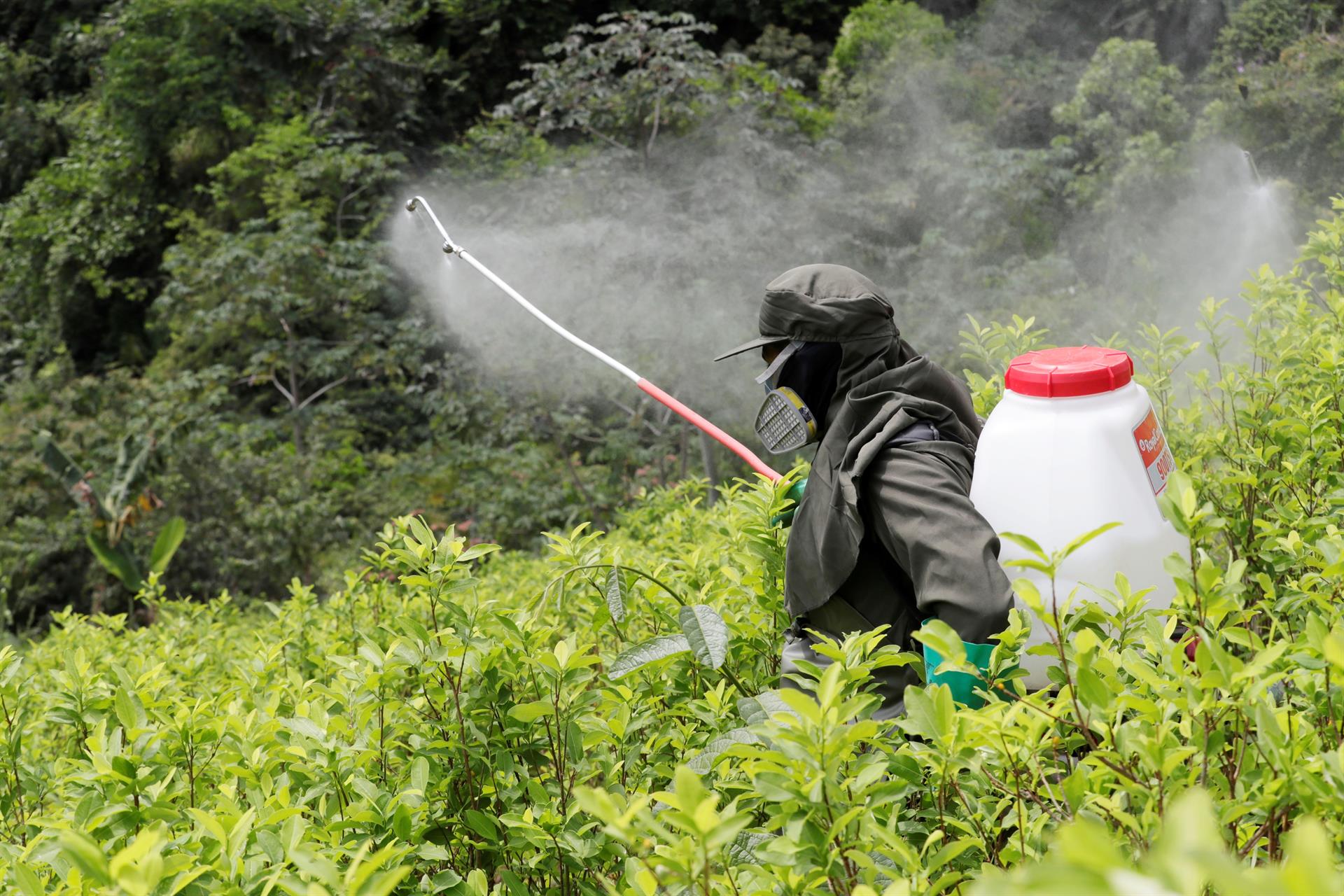 Glifosato un integrante de la Policía de Colombia mientras fumiga un cultivo de coca