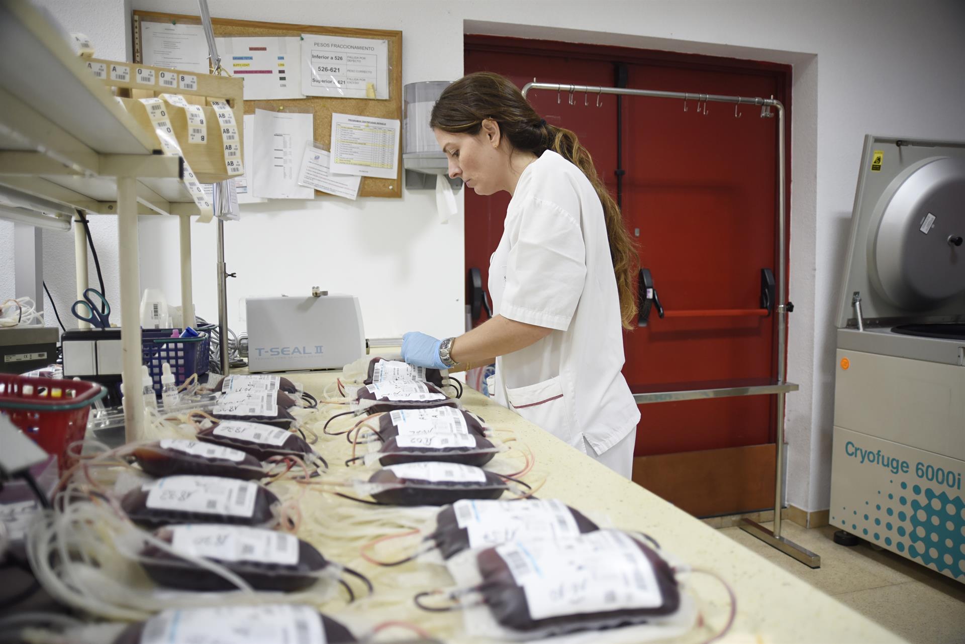 una empleada etiquetando bolsas de sangre