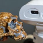 Molde de un cráneo de neandertal y el robot Tiago de PAL Robotics