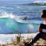 postgrado de surf en España
