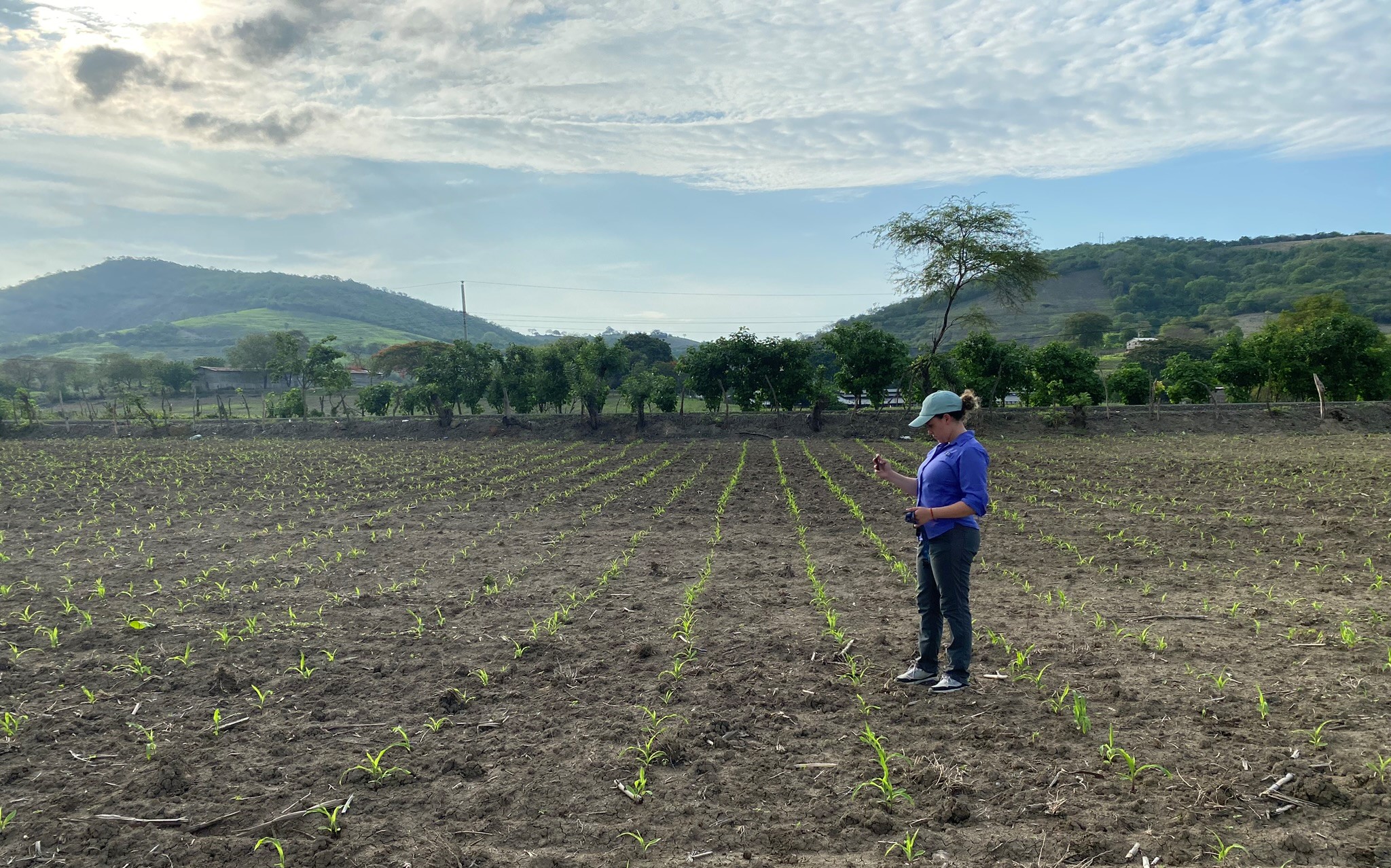 Agricultura sostenible Yara