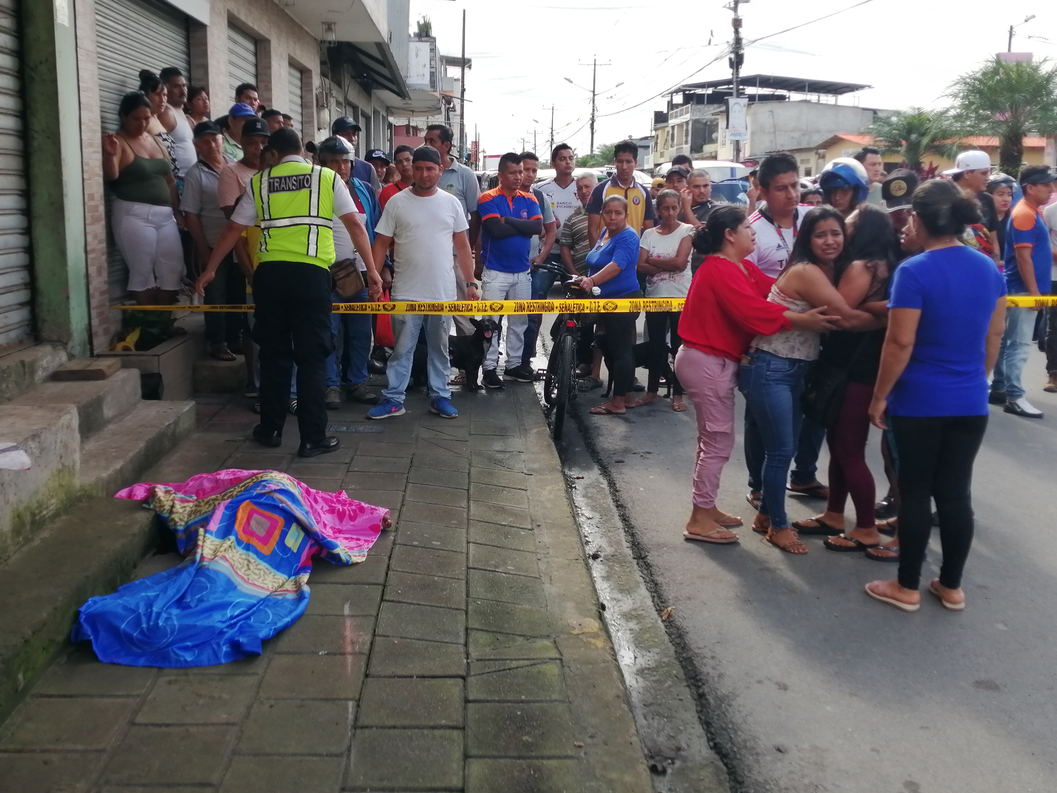 perro-accidente-muerto-santo-domingo