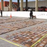 En varias cajas con banano agentes de la Policía incautaron 2,9 toneladas de cocaína que estaban listas para su exportación.