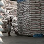 Ecuador importará de Colombia 30 mil toneladas de arroz