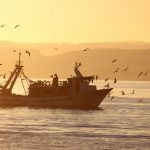 Isla Mauricio atún pesca