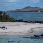 Isla Florena Islas Galápagos Ecuador