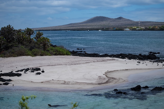 Isla Florena Islas Galápagos Ecuador