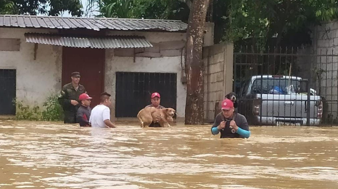 Qué enfermedades aumentarían con la llegada de El Niño