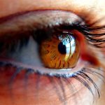 Desarrollan una 'app' que permite detectar de forma precoz enfermedades oculares que causan ceguera