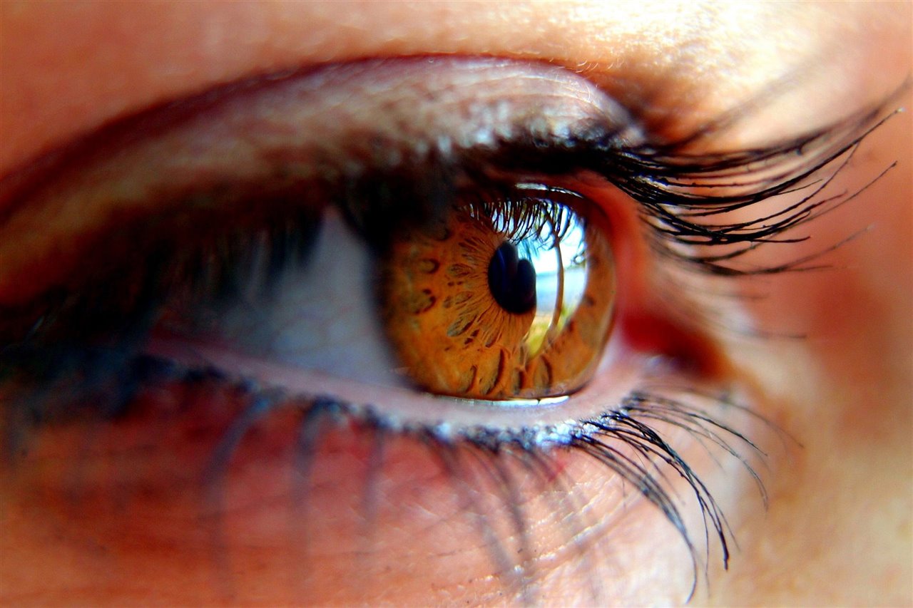 Desarrollan una 'app' que permite detectar de forma precoz enfermedades oculares que causan ceguera